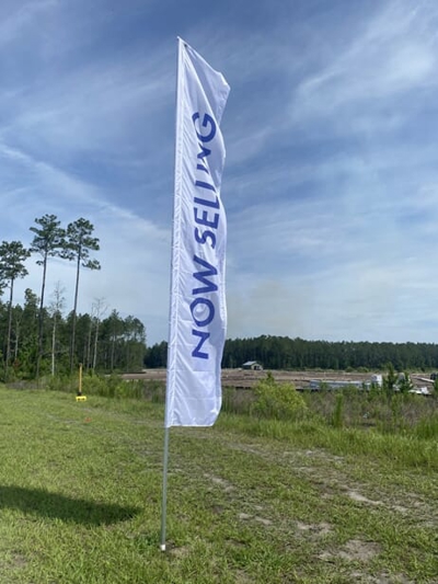 Flags Photo